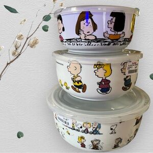 NWT set of 3 ceramic bowls with lids.